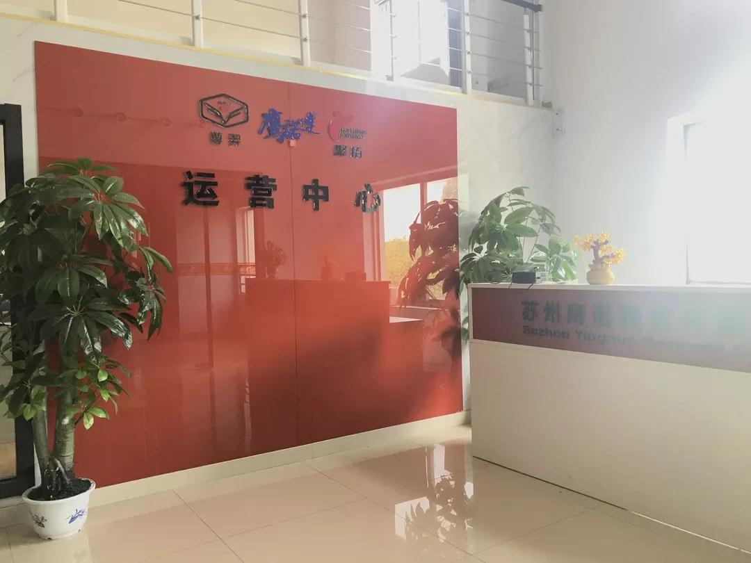  鷹諾達(dá)