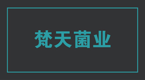 食品行業(yè)湖北沖鋒衣設(shè)計(jì)款式
